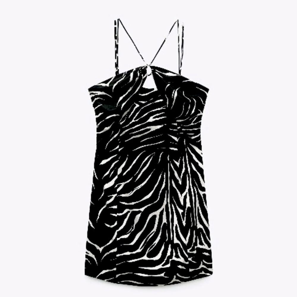Zara dress